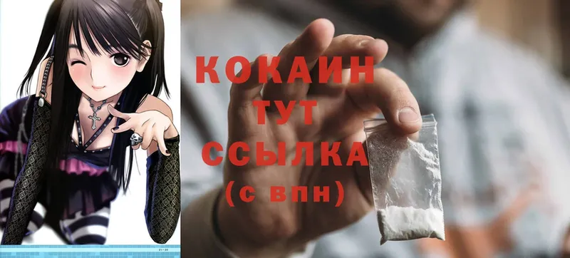 где найти наркотики  Великий Устюг  ссылка на мегу онион  COCAIN FishScale 