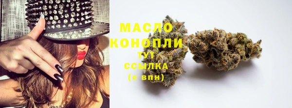 твердый Бородино