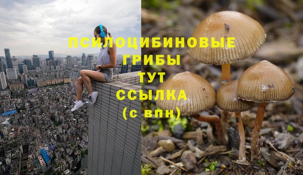 твердый Бородино