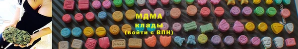 твердый Бородино