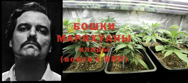 каннабис Верея