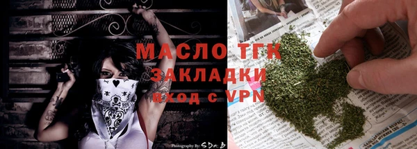 твердый Бородино