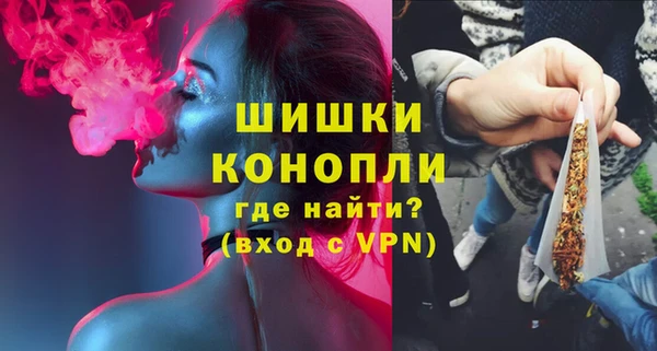 твердый Бородино