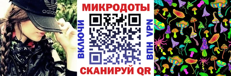 Псилоцибиновые грибы Cubensis omg tor Великий Устюг