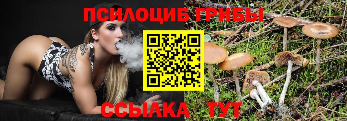 Галлюциногенные грибы ЛСД Великий Устюг