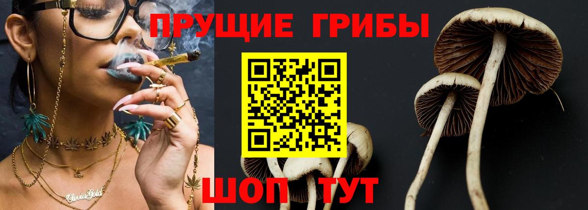 Галлюциногенные грибы Cubensis  Вход с VPN  Великий Устюг  Галлюциногенные грибы GOLDEN TEACHER 