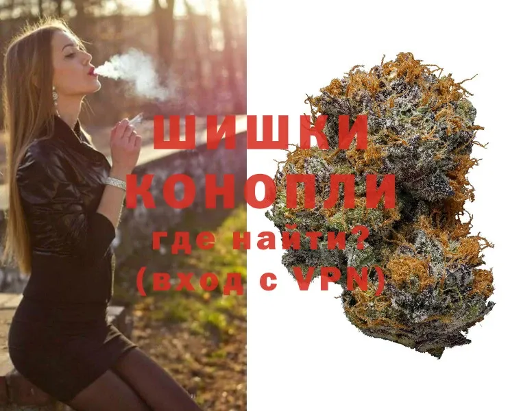 маркетплейс наркотические препараты  Великий Устюг  Конопля SATIVA & INDICA 