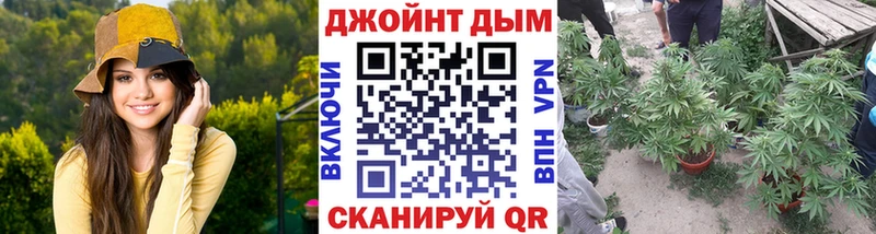 Шишки марихуана марихуана Великий Устюг